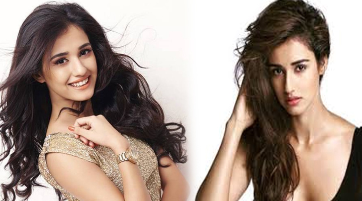 దిశాపటానీకి వరుస ఆఫర్లు 1 4 14