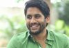 Naga Chaitanya To Essay A Cricketer Role?