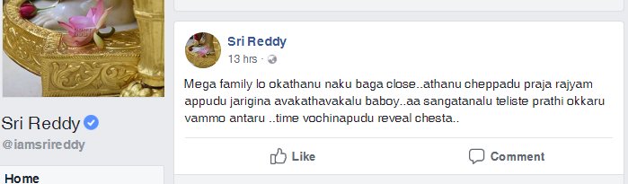 Sri Reddy Sensational Comments On Praja Rajyam Party 2 sri reddy