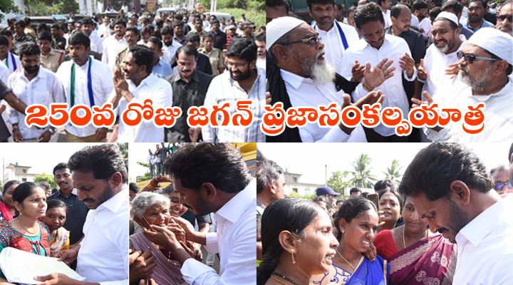 250వ రోజుకు చేరుకున్న జగన్"ప్రజాసంకల్పయాత్ర" 1 6 29