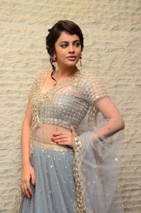Nandita Swetha at Srinivasa Kalyanam Movie Success Meet 13