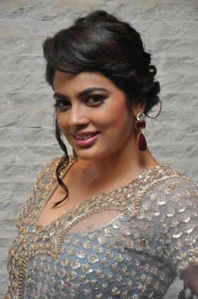 Nandita Swetha at Srinivasa Kalyanam Movie Success Meet 16