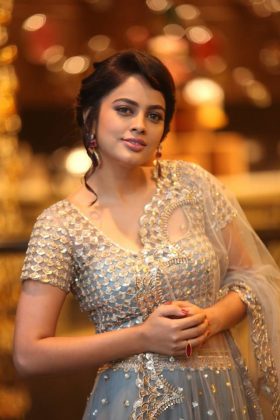 Nandita Swetha at Srinivasa Kalyanam Movie Success Meet 5