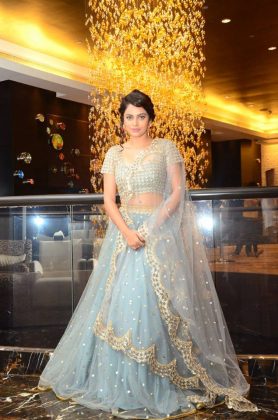 Nandita Swetha at Srinivasa Kalyanam Movie Success Meet 6