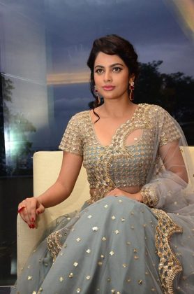 Nandita Swetha at Srinivasa Kalyanam Movie Success Meet 9