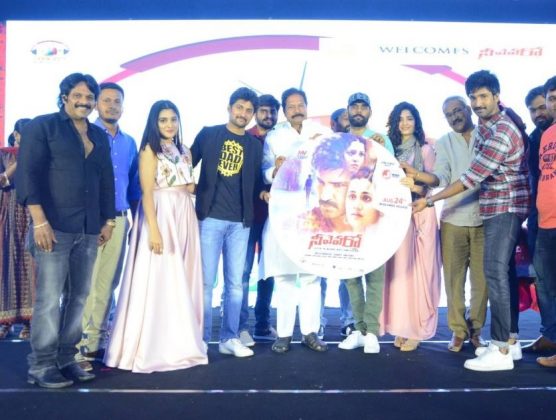 Neevevaro Movie Audio Launch Event 20