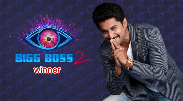 బిగ్బాస్-2 టాప్ త్రీ వీళ్లేనట..! 1 1c 1