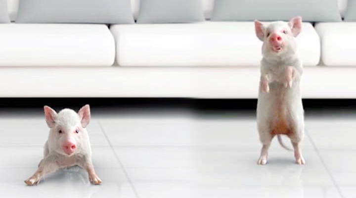 'అదుగో' పందిపిల్ల టీజర్ 2 7 6