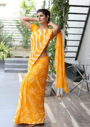 Ashima Nerwal Looking Beautiful In Saree 1