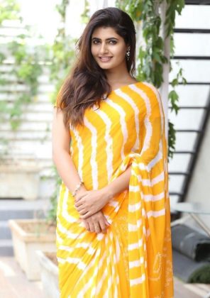 Ashima Nerwal Looking Beautiful In Saree 5