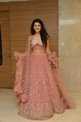 Chitra Shukla At Silly Fellows Pre Release Event 1