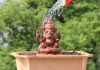 Eco-Friendly Vinayaka Is Need Of The Hour!
