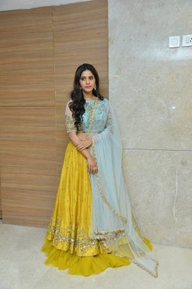 Nabha Natesh Nannu Dochukunduvate Pre Release 1