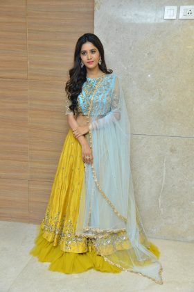 Nabha Natesh Nannu Dochukunduvate Pre Release 12