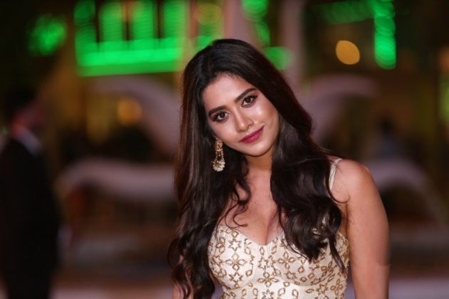Nabha Natesh SIIMA Awards 2018 6