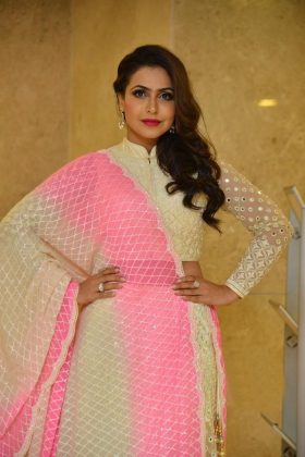 Nandini Rai Silly Fellows Pre Release 11