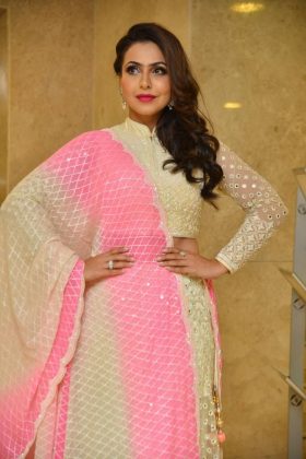 Nandini Rai Silly Fellows Pre Release 6