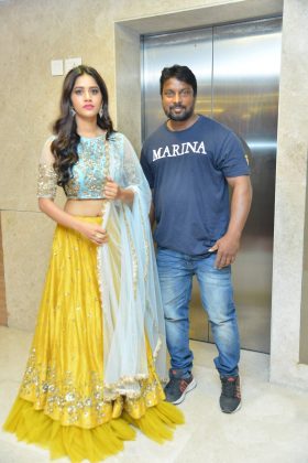 Nannu Dochukunduvate Pre Release 1