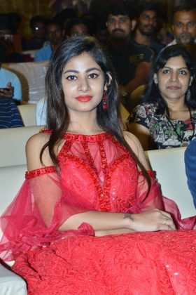 Nannu Dochukunduvate Pre Release 6