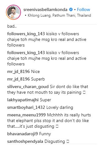 Bellamkonda Sreenivas Trolled For Animal Abuse 1 bellamkonda trolled