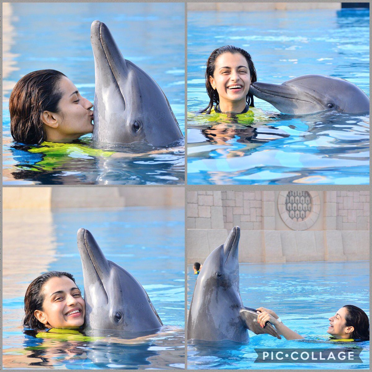 trisha dolphin picture