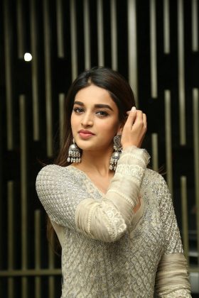 Actress Nidhhi Agerwal At Savyasachi Pre Release 2