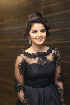Anupama At Hello Guru Prema Kosame Pre Release 26