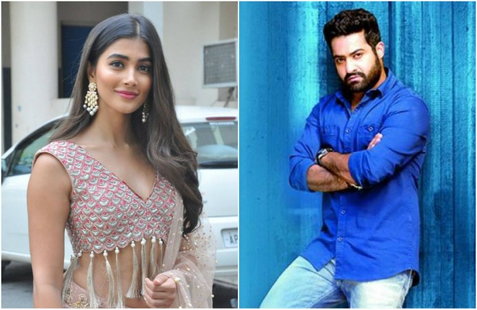Pooja Hegde likes NTR actor