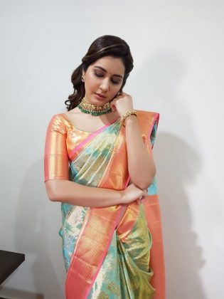 Raashi Khanna Looking gorgeous In Saree 10