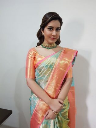Raashi Khanna Looking gorgeous In Saree 9