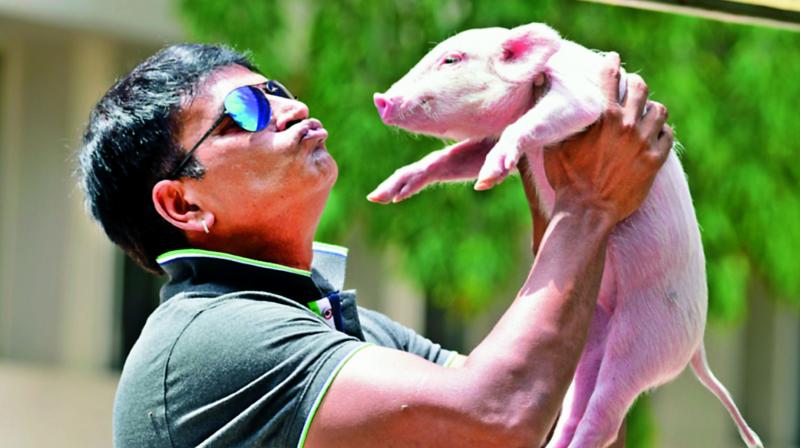 This Director Lost All His Money For This Film 1 Adugo ravi babu 1