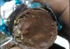 Hyderabad Karachi Bakery Fined After Customer Finds Worms In Food