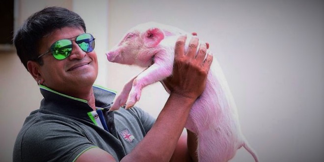Ravi Babu piglet