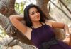 Bigg Boss Telugu 2 Fame Gets Heroine Role