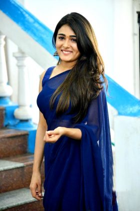Shalini Pandey Looking Gorgeous In Saree 11