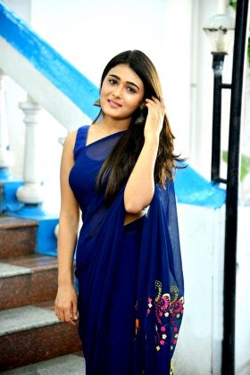 Shalini Pandey Looking Gorgeous In Saree 15