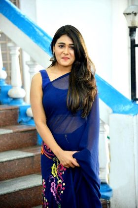Shalini Pandey Looking Gorgeous In Saree 3