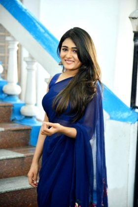 Shalini Pandey Looking Gorgeous In Saree 8