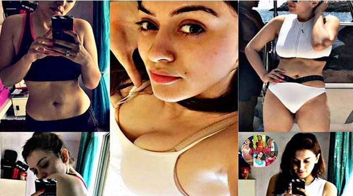 హన్సిక ప్రైవేట్ ఫోటోలు లీక్! 2 2a 1