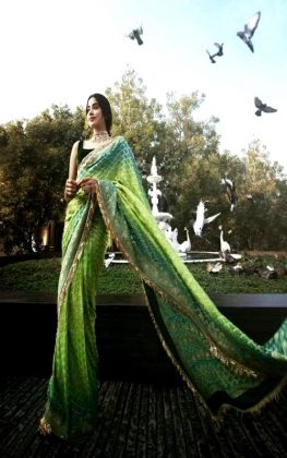 Janhvi Kapoor Looking Beautiful In Saree 3