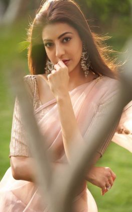 Kajal Aggarwal Looking Beautiful In Saree 8