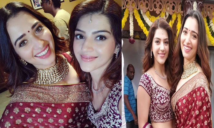 F2 makes these two girls smile 1 Mehreen Tamannaa F2