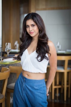 Nabha Natesh Latest Photoshoot Stills 5