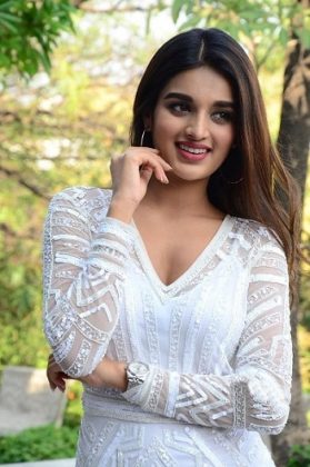 Nidhhi Agerwal Interview Stills Mr Majnu 1