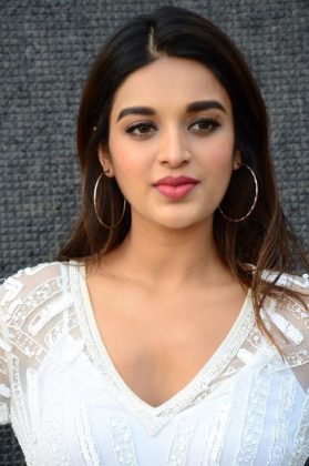 Nidhhi Agerwal Interview Stills Mr Majnu 6