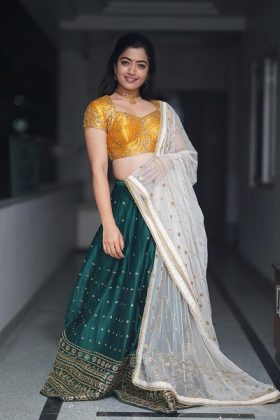Rashmika Mandanna Traditional Saree 4