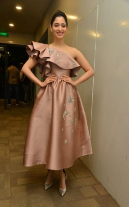 Tamannaah Bhatia Stills From F2 Movie Pre Release Press Meet 1