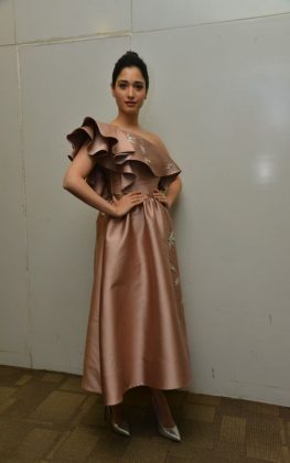 Tamannaah Bhatia Stills From F2 Movie Pre Release Press Meet 4