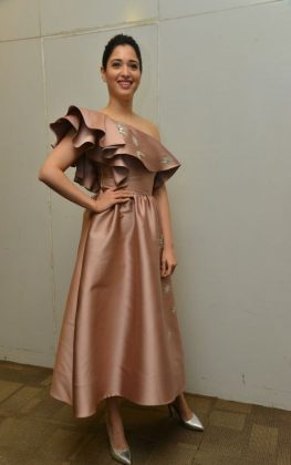 Tamannaah Bhatia Stills From F2 Movie Pre Release Press Meet 5