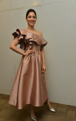 Tamannaah Bhatia Stills From F2 Movie Pre Release Press Meet 6